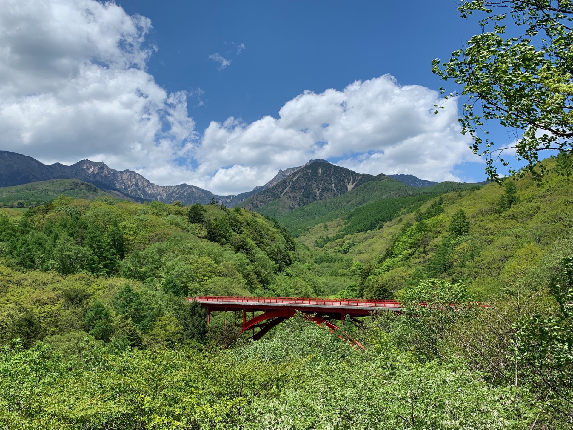During summer vacation, go to the cool Yatsugatake area. Summer recommended course that all family members can enjoy in summer