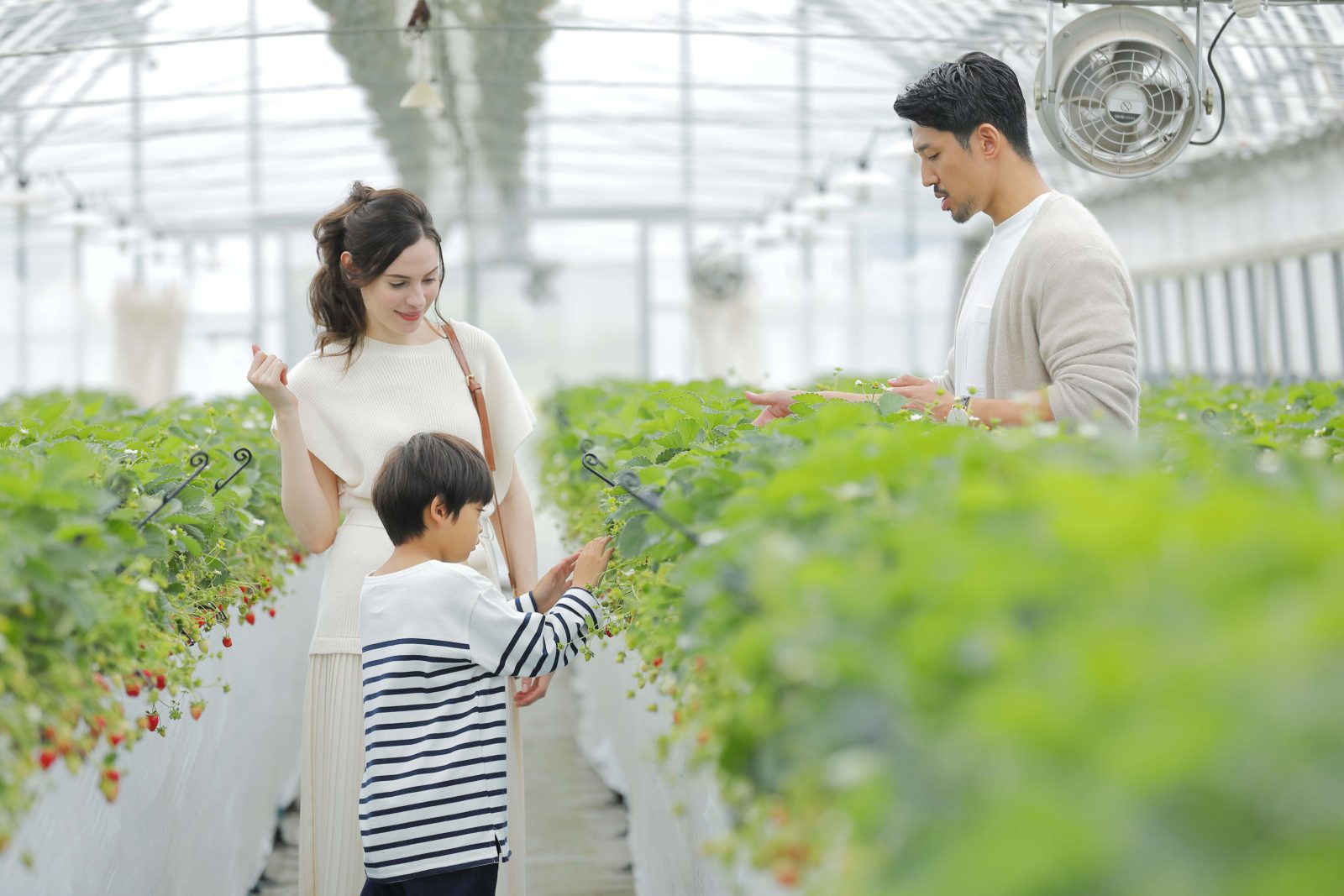 Yatsugatake Energy Farm