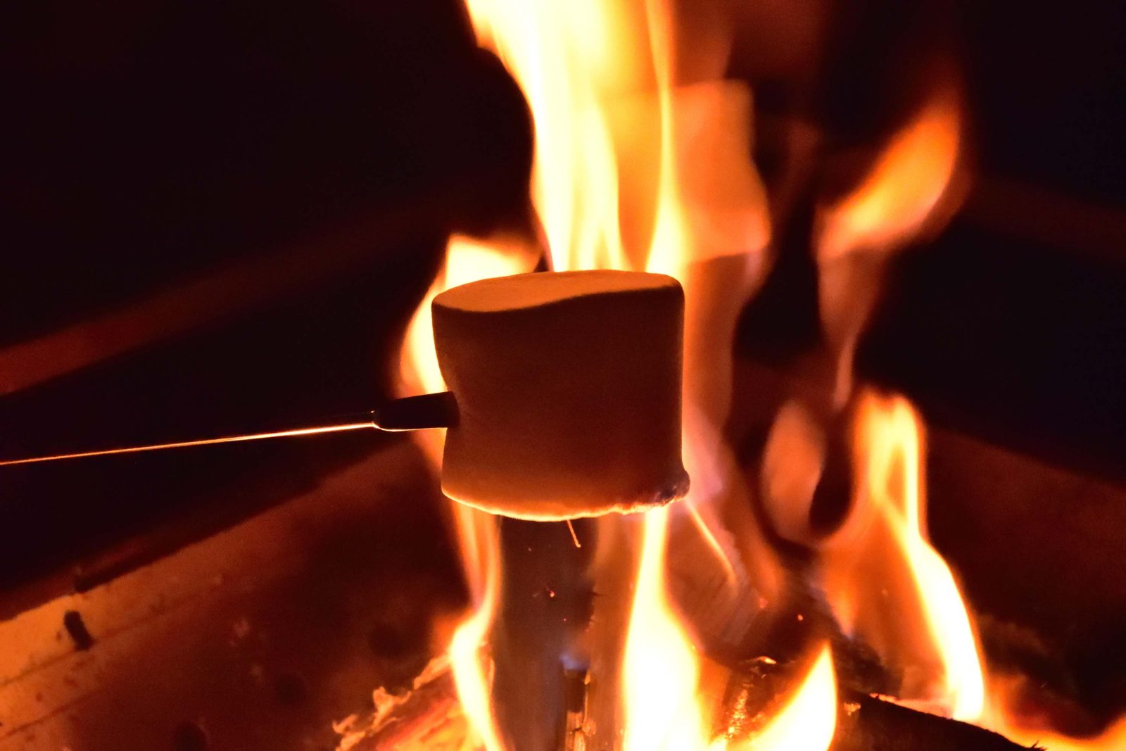 Enjoy the bonfire experience and grilled marshmallow