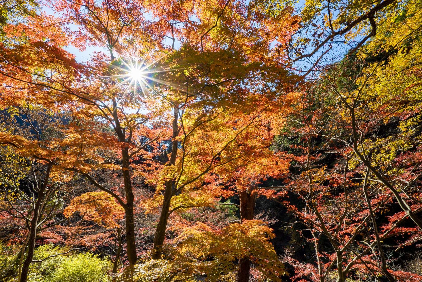 Shosenkyo Gorge | Grand Mercure Yatsugatake Resort & Spa [Official]