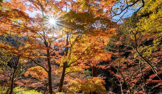 Shosenkyo Gorge