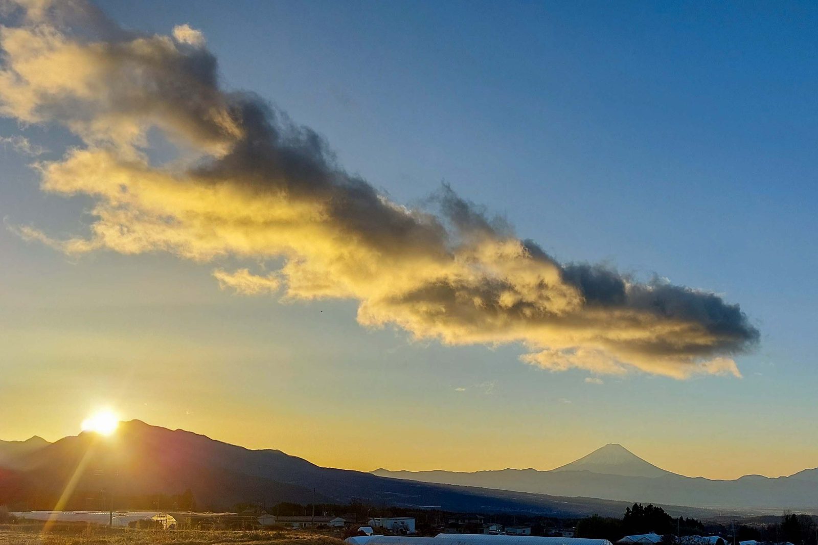 Enjoy the view from the rooftop observation deck