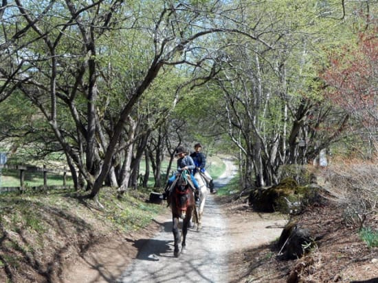 Canadian Camp Riding Club | Grand Mercure Yatsugatake Resort & Spa