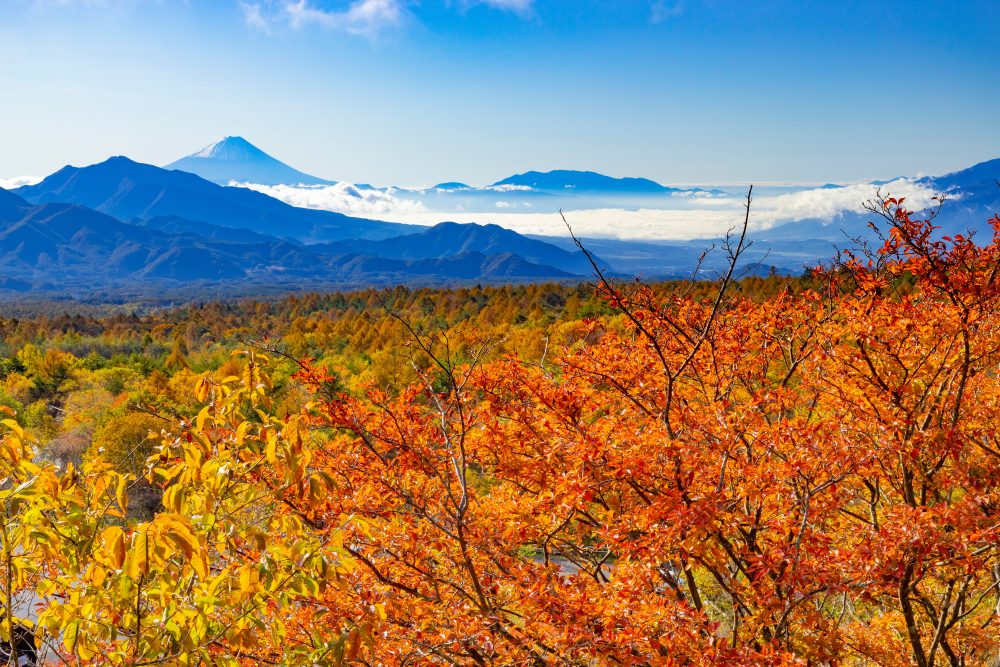 Utsukushimori Observation Deck
