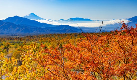 Utsukushimori Observation Deck