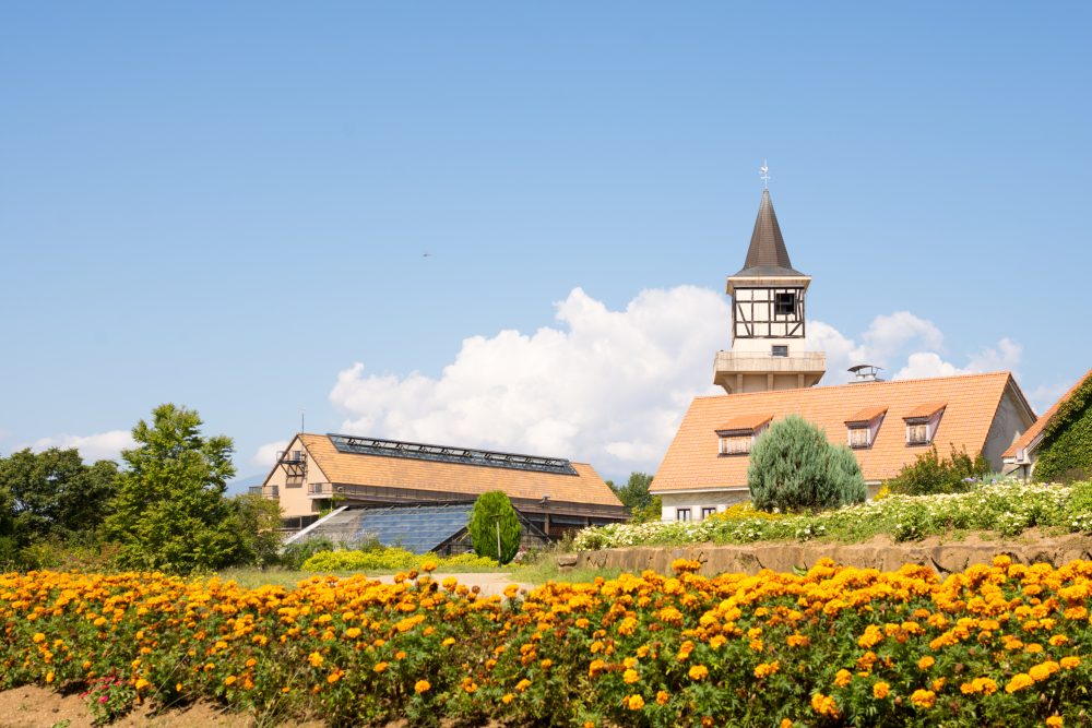 Village of Heidi