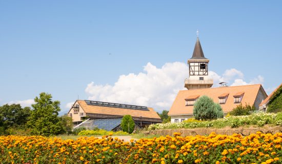 Village of Heidi