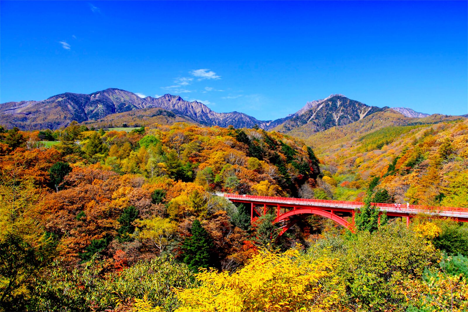 川俁川溪谷・東澤大橋|八岳美爵溫泉度假酒店【官方】