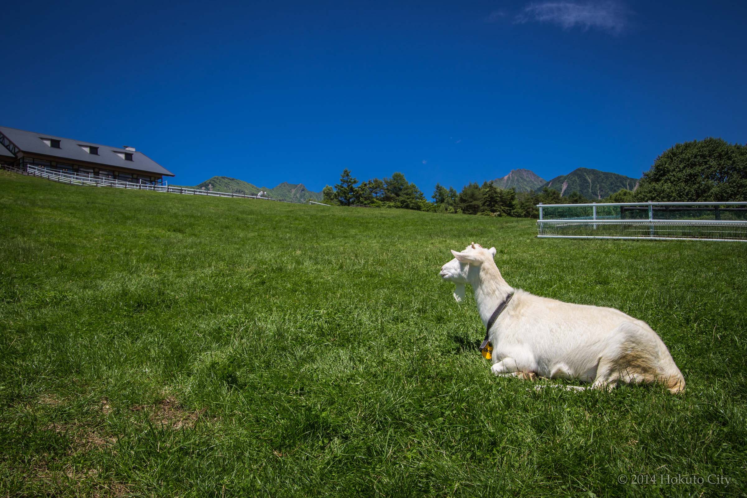 山梨縣立馬場公園|八岳美爵溫泉度假酒店【官方】