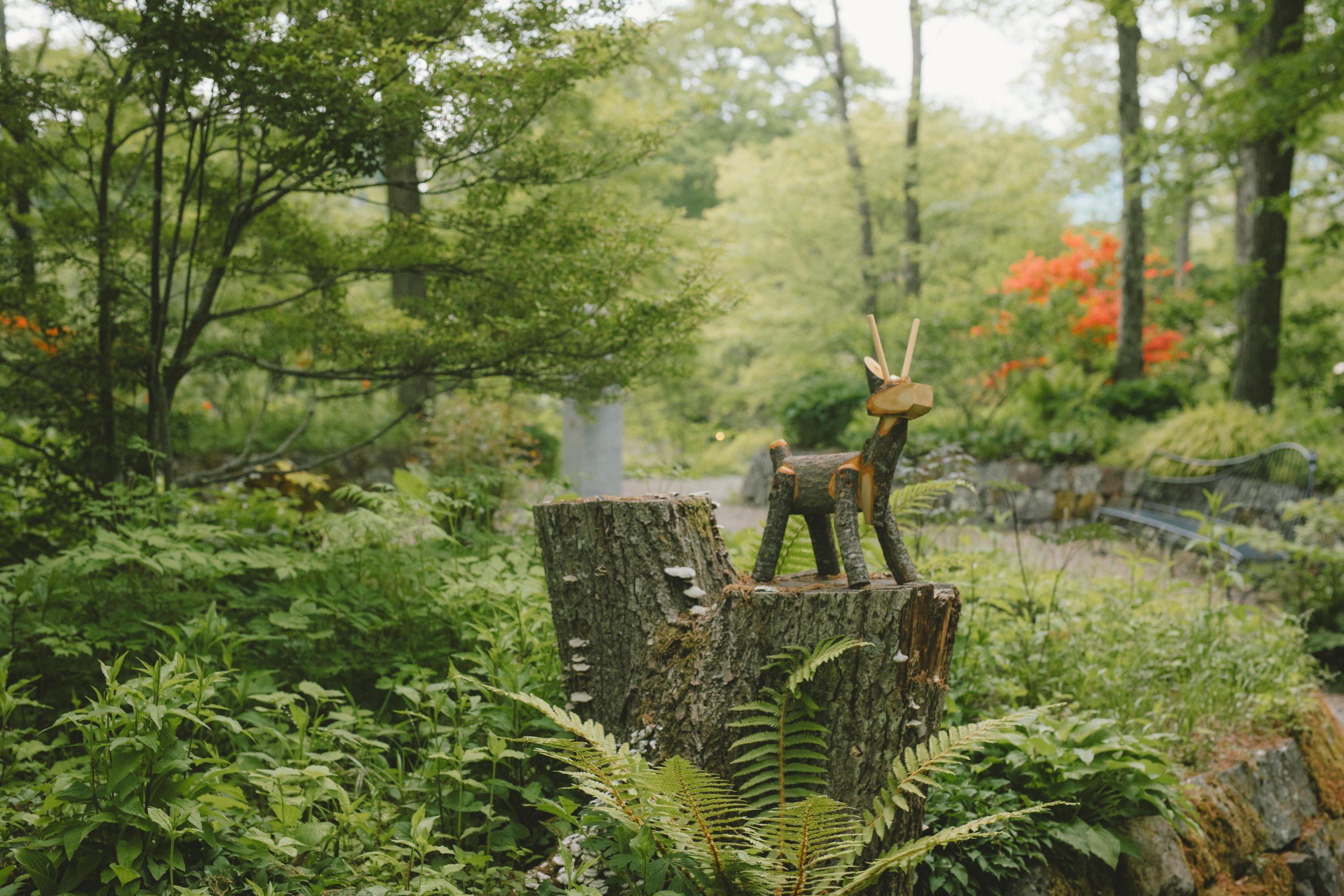 旅遊資訊和活動首頁|八岳美爵溫泉度假酒店
