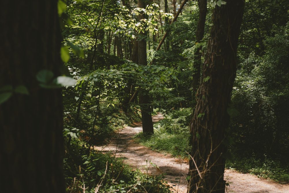 在飯店散步路享受八岳自然風光
