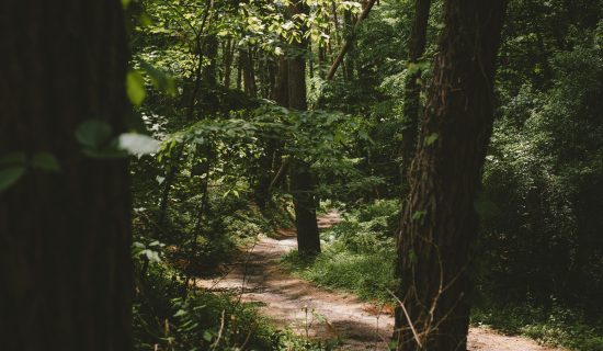 在飯店散步路享受八岳自然風光