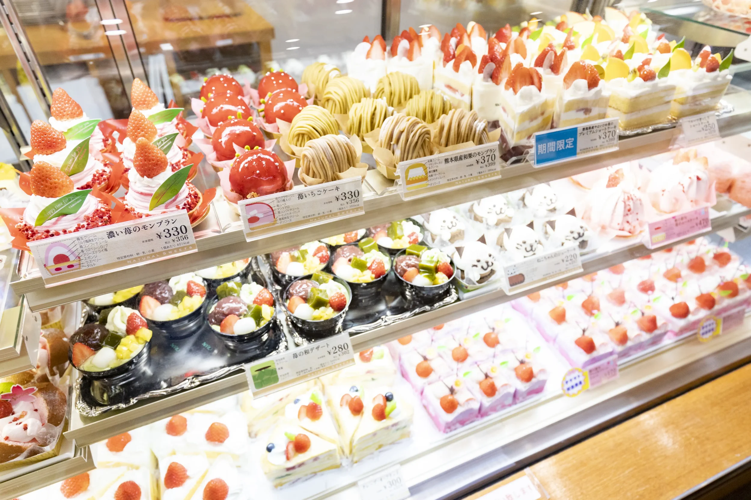 沙特雷澤滑雪谷野邊山旅遊景點八岳美爵溫泉度假酒店