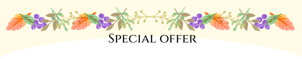 スペシャルオファーのボーダー